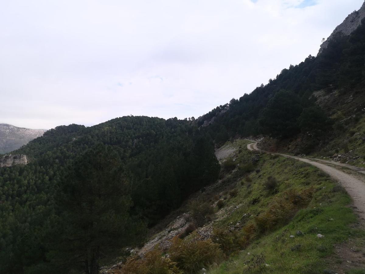 Complejo Rural Rio Tus Campsite Yeste